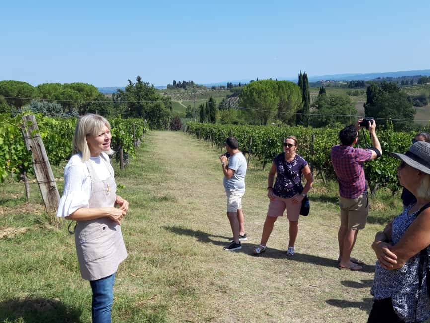 San Gimignano: Premium Wine Tour with Lunch - Walking through the vines and cellar