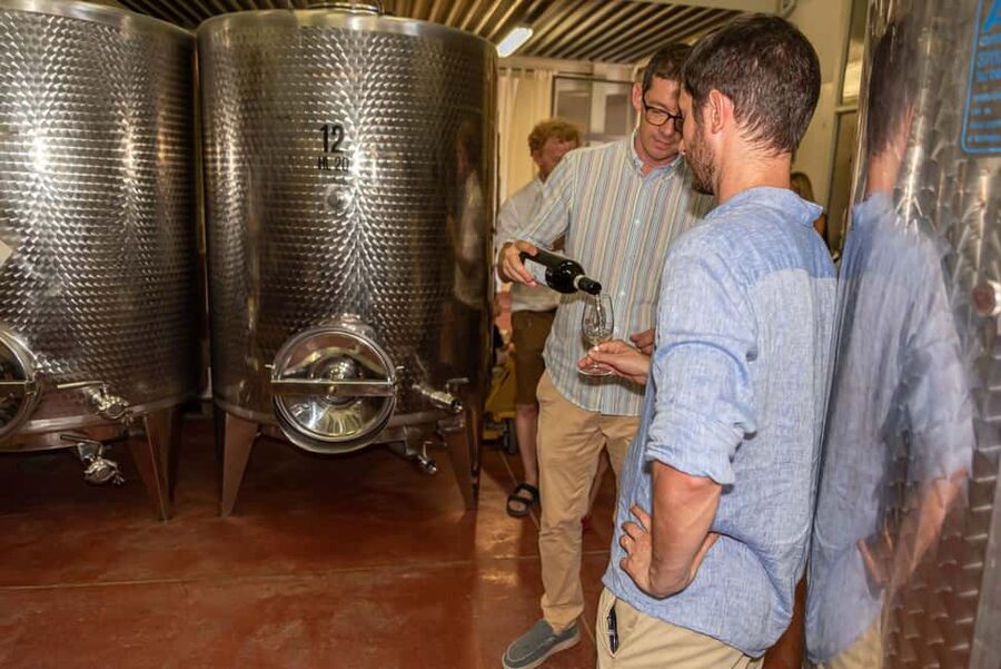 San Gimignano: Premium Wine Tour with Lunch - Lunch with pappa al pomodoro and Pecorino Senese