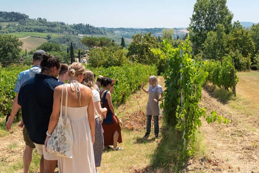 San Gimignano: Premium Wine Tour with Lunch - Booking value and final advice