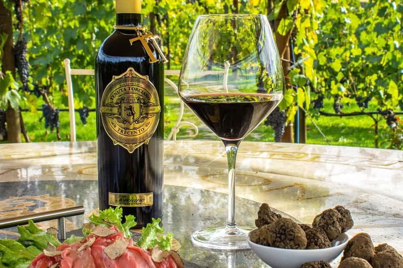 San Gimignano: Wine and Oil Tasting with Tuscan Appetizers - Key points at a glance