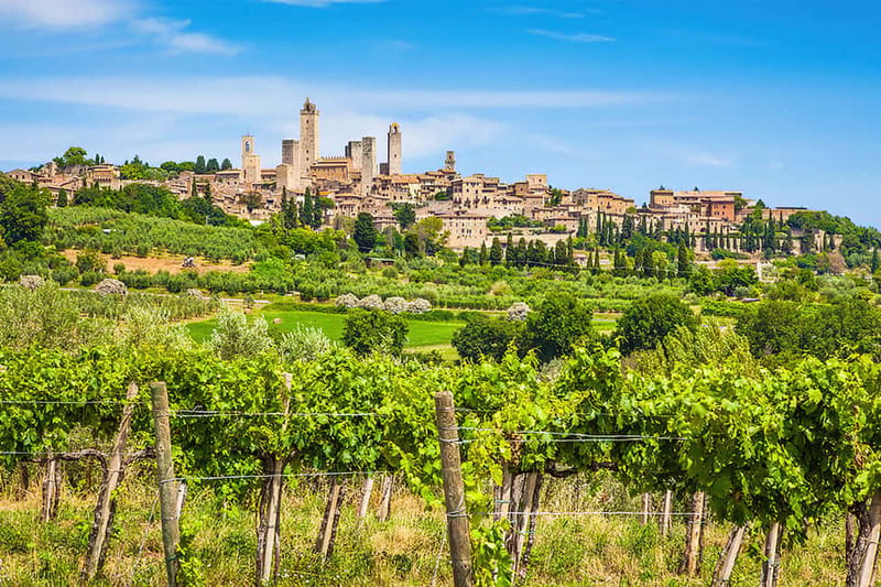 San Gimignano: Wine and Oil Tasting with Tuscan Appetizers - The guides make the difference