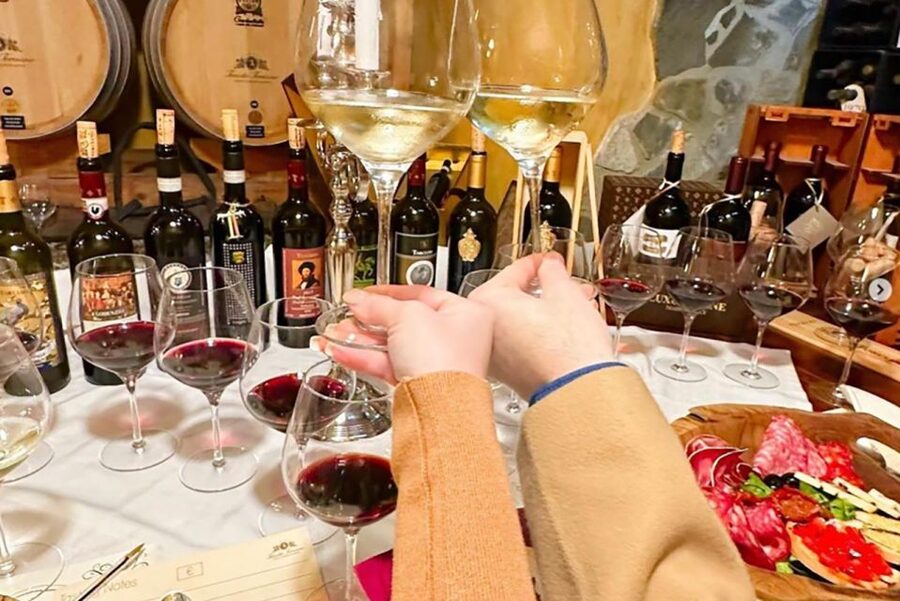 San Gimignano: Wine and Oil Tasting with Tuscan Appetizers - Who will enjoy this tasting most