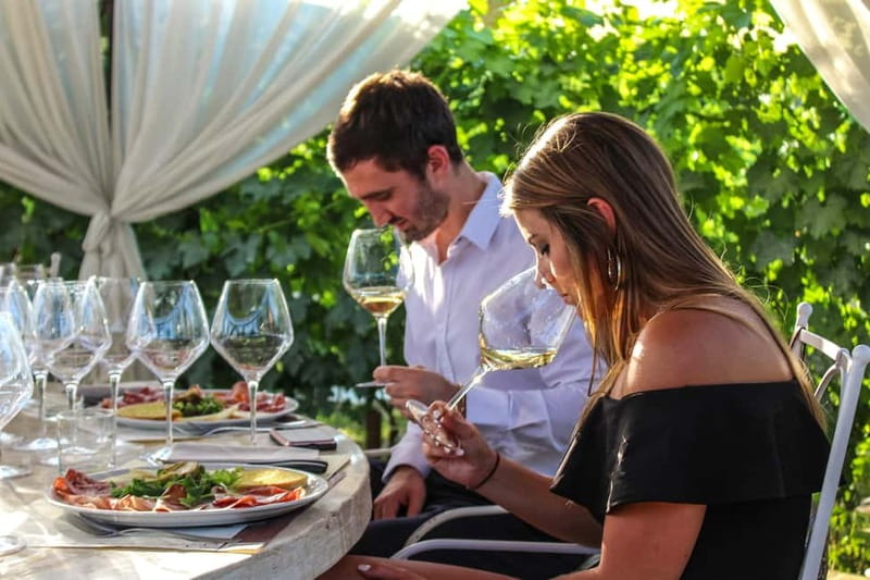San Gimignano: Wine and Oil Tasting with Tuscan Appetizers - The one-hour tasting bar