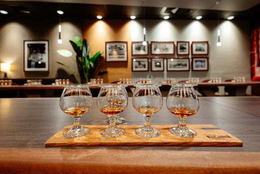 San Juan: Casa Bacardi Distillery Tour - The trolley ride shows the scale of the property