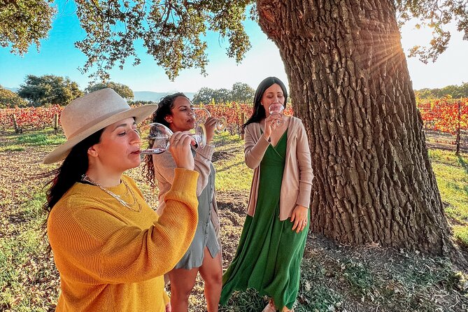 Santa Ynez Wine Tour (All-Inclusive) - Why this is an easy way to reach Santa Ynez Valley