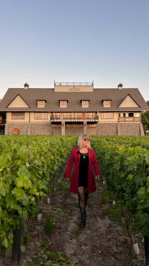 Santiago: Alyan Winery Sunset with Wine Tastings and Dinner - Walking through the winery, one stop at a time