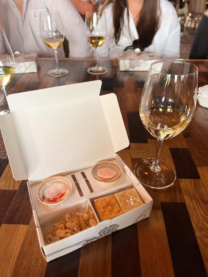 Santiago: Alyan Winery Sunset with Wine Tastings and Dinner - Three or four wines in different places