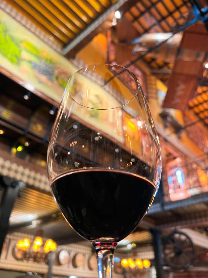 Santiago: Alyan Winery Sunset with Wine Tastings and Dinner - Who will enjoy Alyan Sunset most?