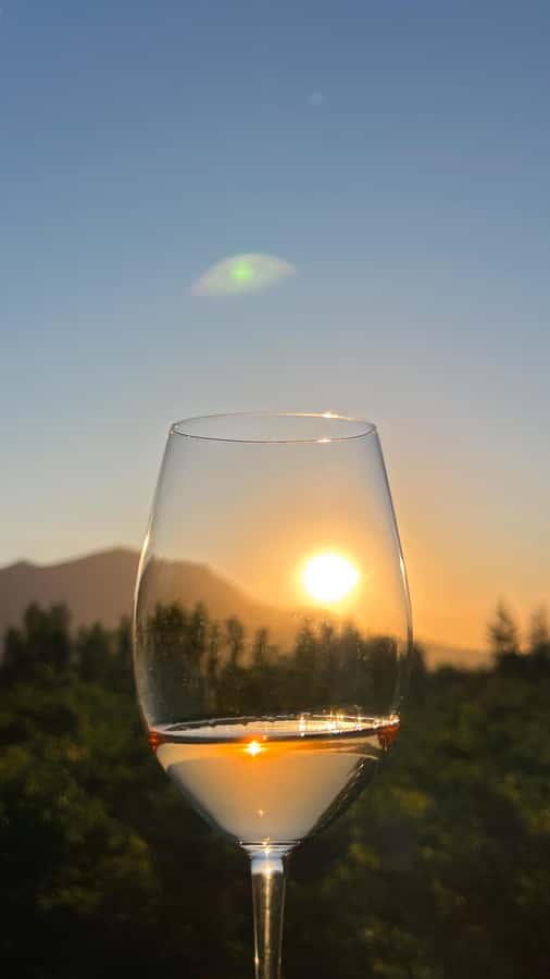 Santiago: Alyan Winery Sunset with Wine Tastings and Dinner - Should you book Alyan Winery Sunset?