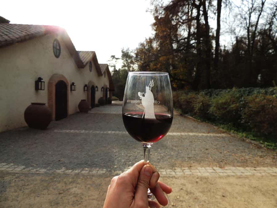 Santiago: Concha y Toro and Undurraga Vineyards Tour - Two Chilean wineries, one long day