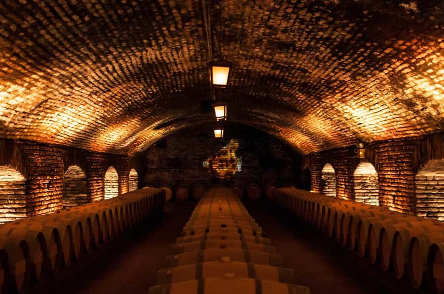 Santiago: Concha y Toro and Undurraga Vineyards Tour - Starting at Viña Undurraga