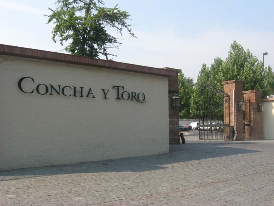 Santiago: Concha y Toro and Undurraga Vineyards Tour - Wine production in the Pirque vineyards