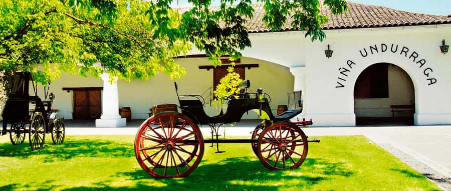Santiago: Concha y Toro and Undurraga Vineyards Tour - The lunch break and the day’s awkward gap