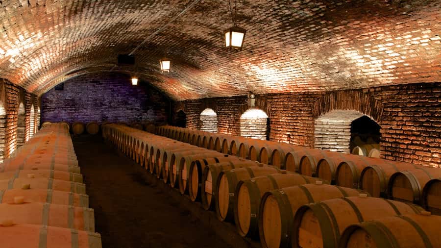 Santiago: Concha y Toro Vineyard Tour w/ Transfer & Tasting - Key points to know before you book