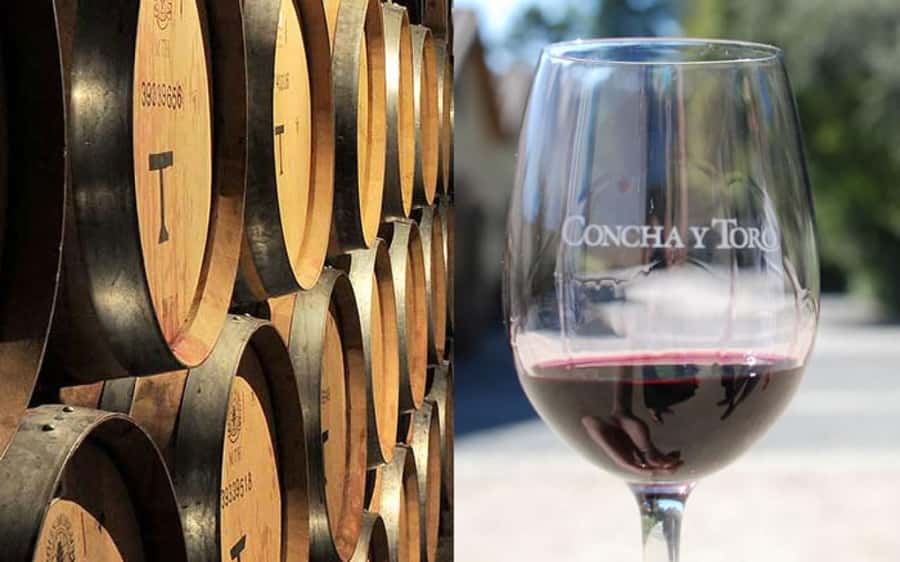 Santiago: Concha y Toro Vineyard Tour w/ Transfer & Tasting - Why the premium option may be worth it
