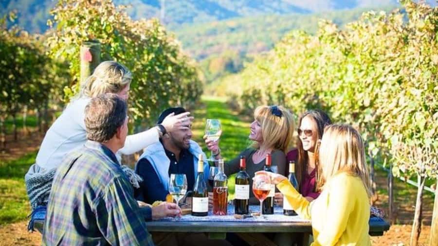 Santiago: Maipo Valley Wine Tasting Tour with 4 Vineyards - Campo La Quirinca, where wine meets farm life