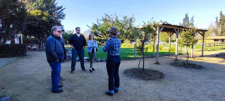 Santiago: Maipo Valley Wine Tasting Tour with 4 Vineyards - Santa Ema brings a polished winery visit
