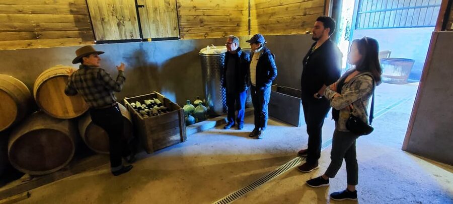 Santiago: Maipo Valley Wine Tasting Tour with 4 Vineyards - Undurraga closes the day with scale and history