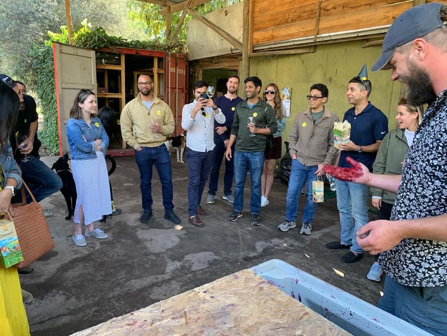 Santiago: Maipo Valley Wine Tasting Tour with 4 Vineyards - Who will enjoy this tour most