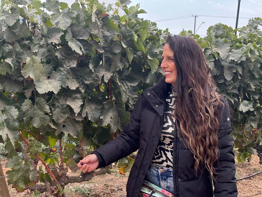 Santiago: Maipo Valley Wine Tasting Tour with 4 Vineyards - The ride from Santiago to the Maipo River