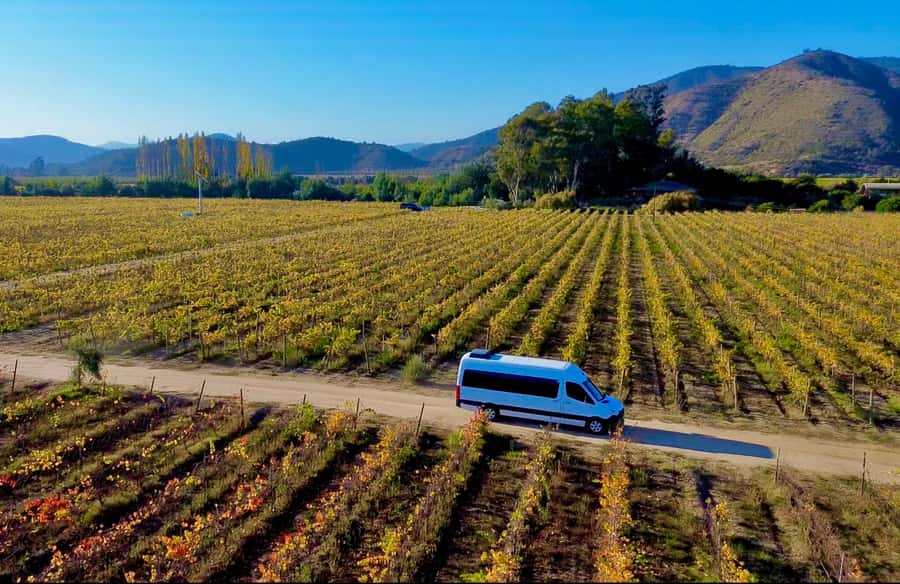Santiago: Viña del Mar, Valparaiso, with Wine Tasting - Why this day trip works from Santiago