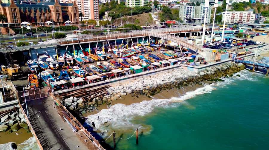 Santiago: Viña del Mar, Valparaiso, with Wine Tasting - Guides, drivers, and the pace of the day
