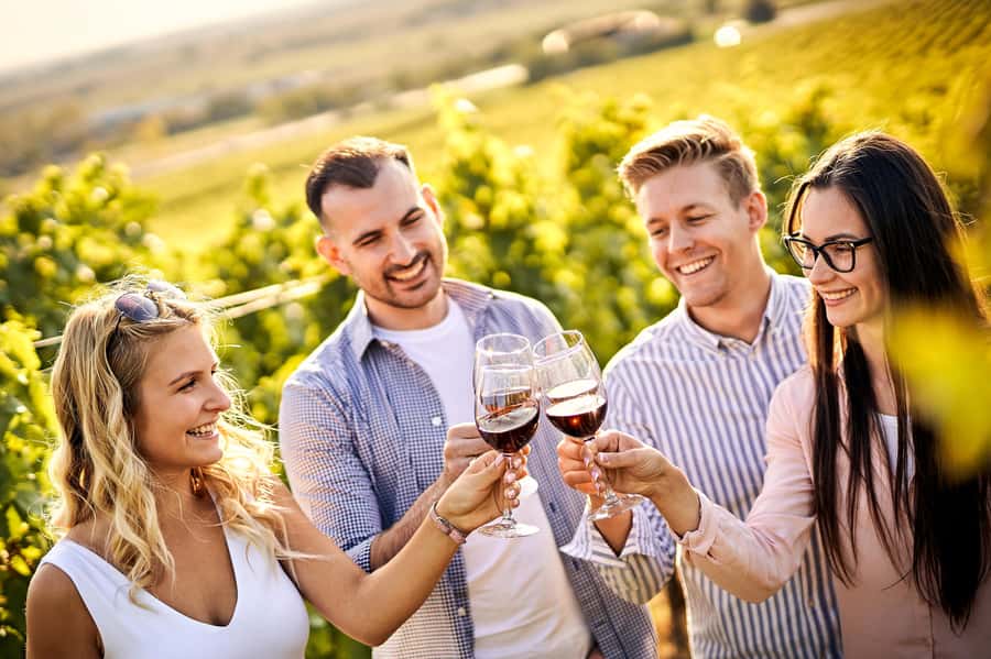 Santiago: World-class Wines, Visit to 4 Vineyards and Tanino - Why Casablanca Valley makes a good Santiago day trip