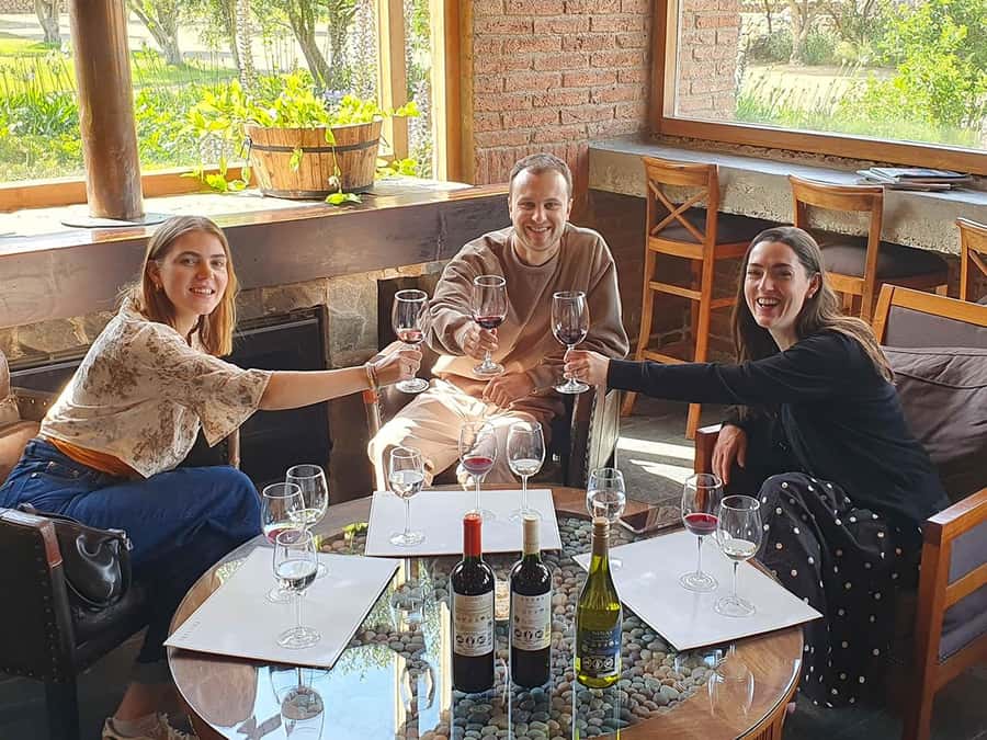 Santiago: World-class Wines, Visit to 4 Vineyards and Tanino - Emiliana: organic wine with a clear purpose
