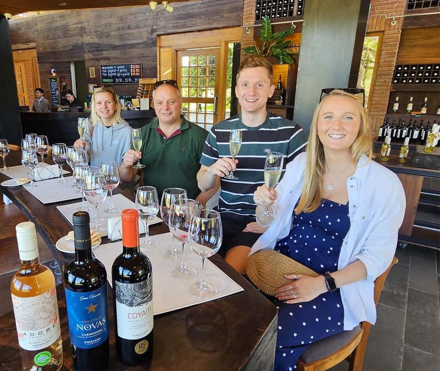 Santiago: World-class Wines, Visit to 4 Vineyards and Tanino - Bodegas RE takes the less traditional route