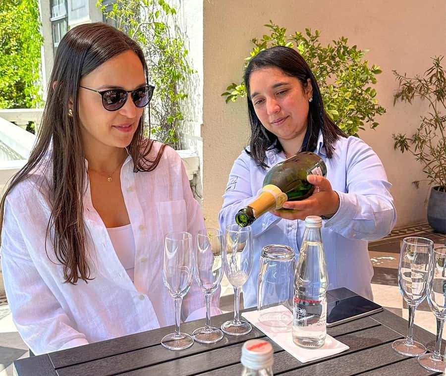 Santiago: World-class Wines, Visit to 4 Vineyards and Tanino - Group size, comfort, and accessibility