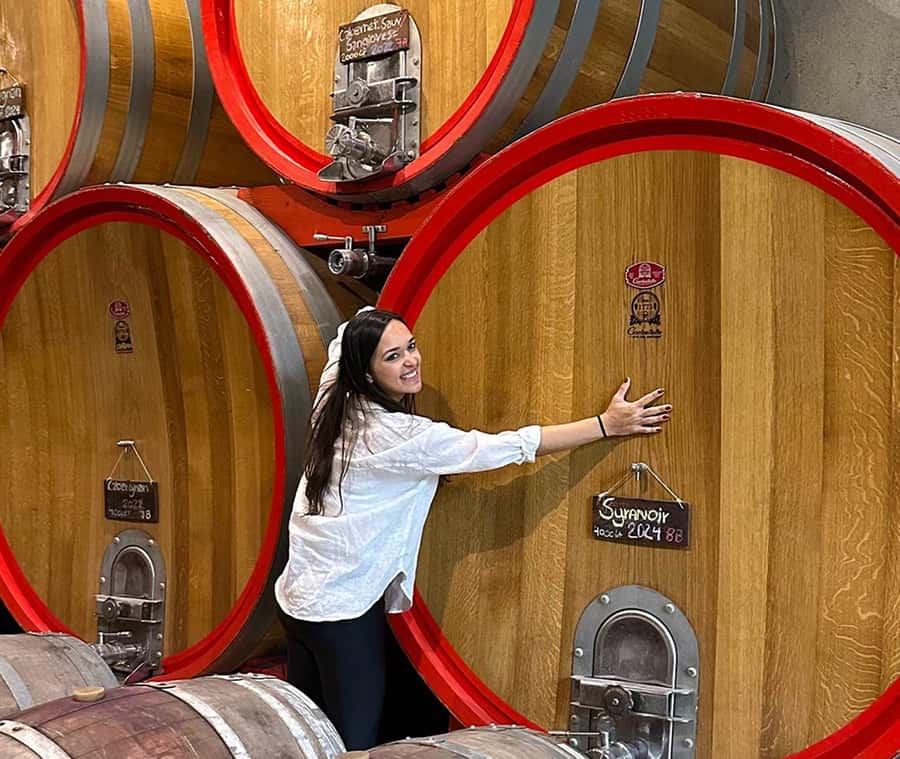 Santiago: World-class Wines, Visit to 4 Vineyards and Tanino - The morning drive through Curacaví