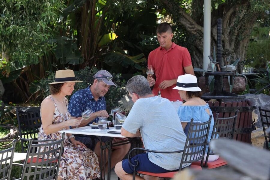 Santorini: Tour of Wineries with Wine Tasting & Food - First Winery: Vines, Cellars, and the Opening Tasting