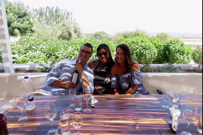 Santorini Wine Adventure with 12 Wine Tastings, Tapas and Sunset - Estate Argyros and the modern Santorini style
