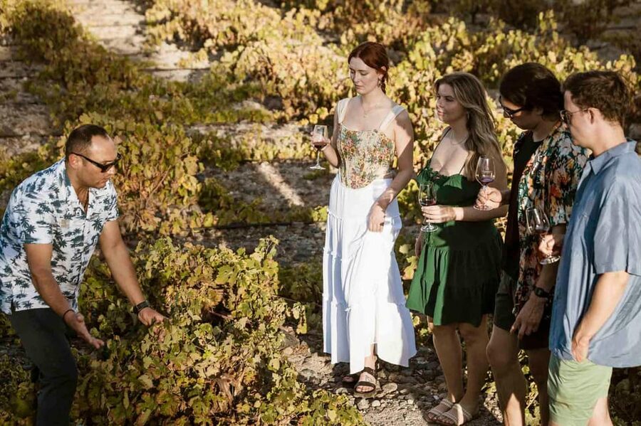 Santorini: Wine Tasting Tour with Snacks - Why Santorini wine is worth your afternoon