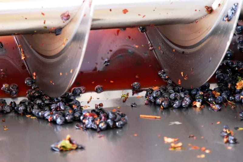Sardinia: Winery Tour and Wine Tasting Experience - Follow the grapes through the production rooms