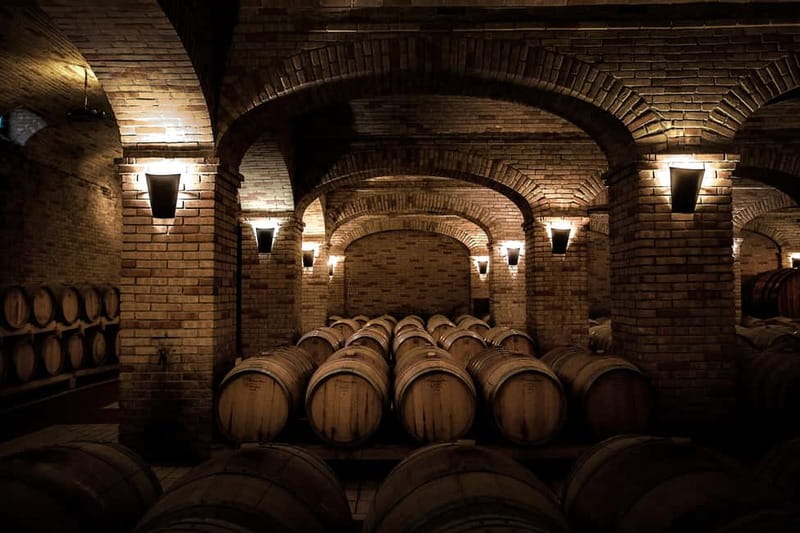 Sardinia: Winery Tour and Wine Tasting Experience - Start with vineyards and wide views