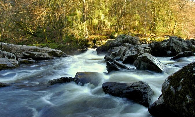 Scotland's Glens, Highlands & Whisky Day Trip from Edinburgh - Lochs, glens, and Highland cattle from your coach seat