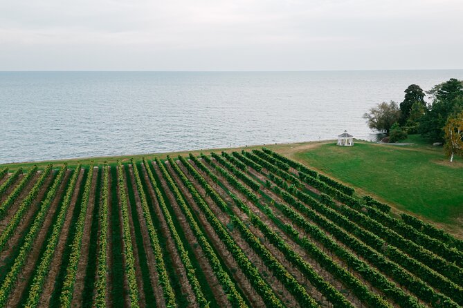 Seated Tasting Experience at Konzelmann Winery - Building Your Three-Wine Flight