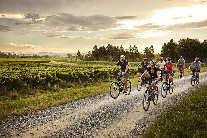 Self-Guided Biking Wine Tour (full day) in the Marlborough Region. - Key points at a glance