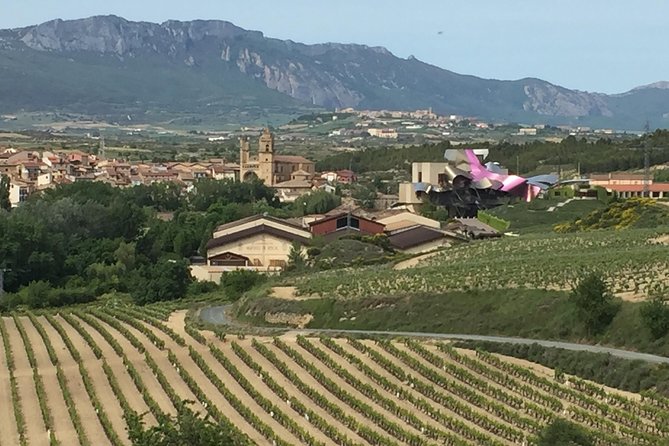 Semi-Private Rioja Tour of 3 Premium Wineries from Bilbao - What you actually taste during the day