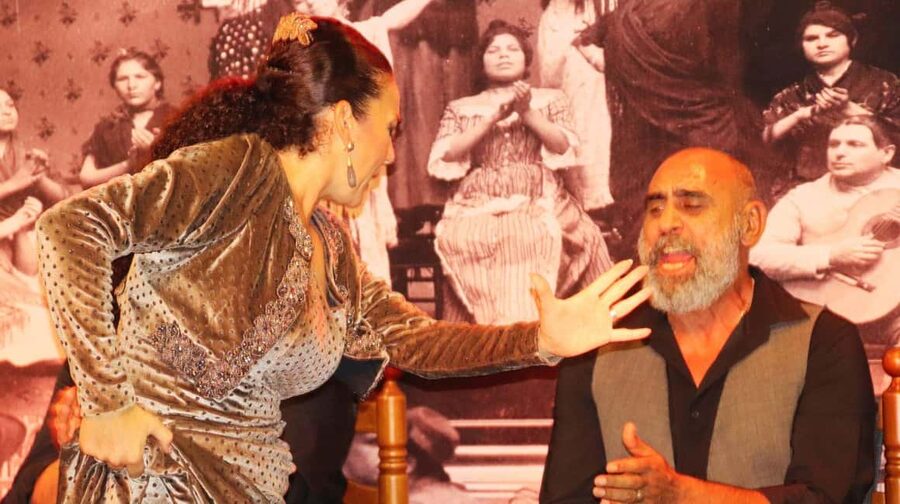Seville: Flamenco Show & Cocktail Experience - Practical details before you book