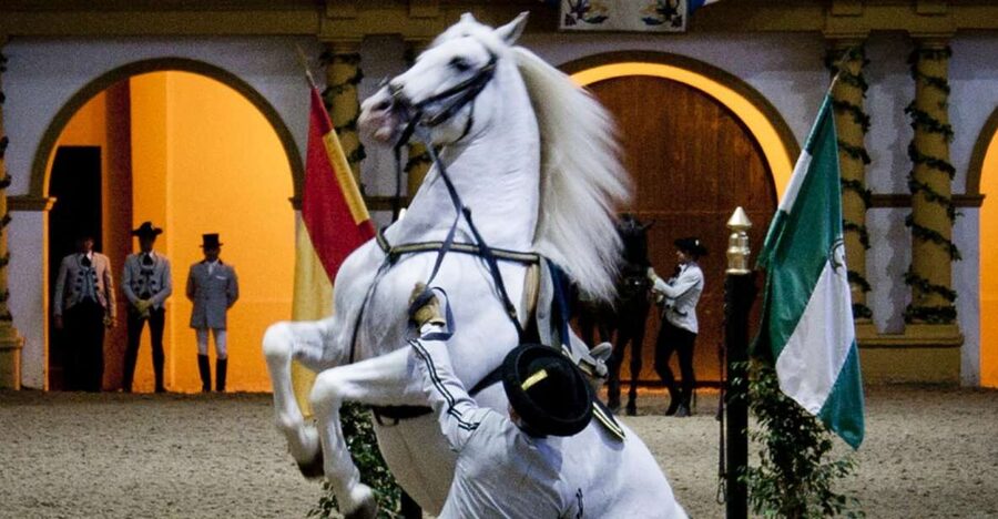 Seville: Jerez, Cadiz Wine Tasting with Optional Horse Show - Leaving Seville for the sherry country