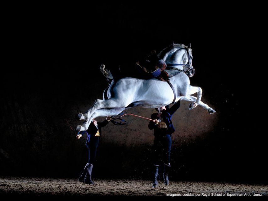 Seville: Jerez, Cadiz Wine Tasting with Optional Horse Show - Arriving in Cádiz after the Costa de la Luz