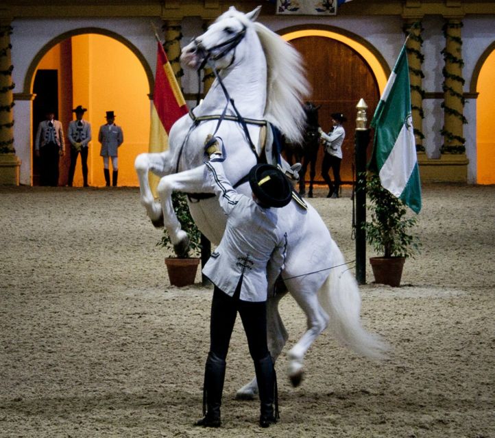 Seville: Jerez, Cadiz Wine Tasting with Optional Horse Show - How much Cádiz time will you really have?