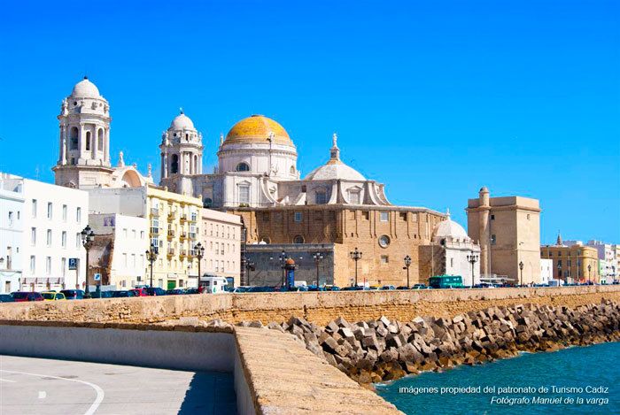 Seville: Jerez, Cadiz Wine Tasting with Optional Horse Show - The guides can shape the day