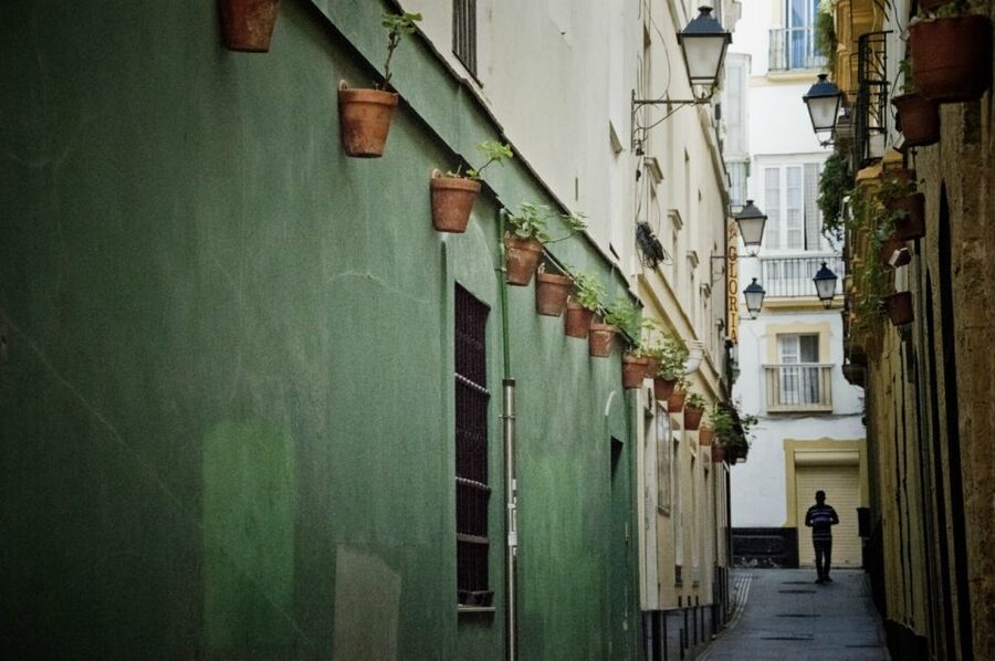 Seville: Jerez, Cadiz Wine Tasting with Optional Horse Show - Price, lunch, and overall value