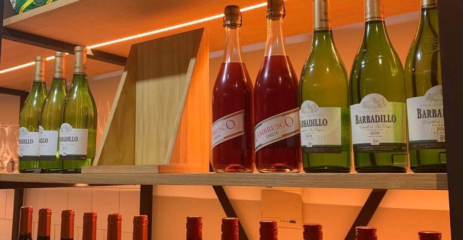 Seville: Sherry Wine Tasting with Light Snacks - Five pours, five ways to understand sherry