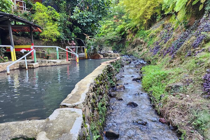 Shoreside Fun-Day with Titou Gorge, Hot Springs & Champagne Reef - Trafalgar Falls and a short forest walk