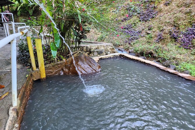 Shoreside Fun-Day with Titou Gorge, Hot Springs & Champagne Reef - Champagne Reef and the island’s volcanic heartbeat