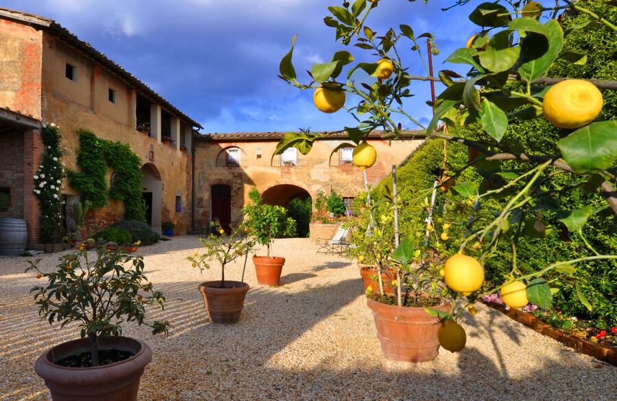 Siena: Educational Wine Tour & Tasting - Four wines in the sensory tasting room